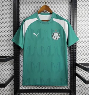 24/25 Palmeiras Training Green Jersey